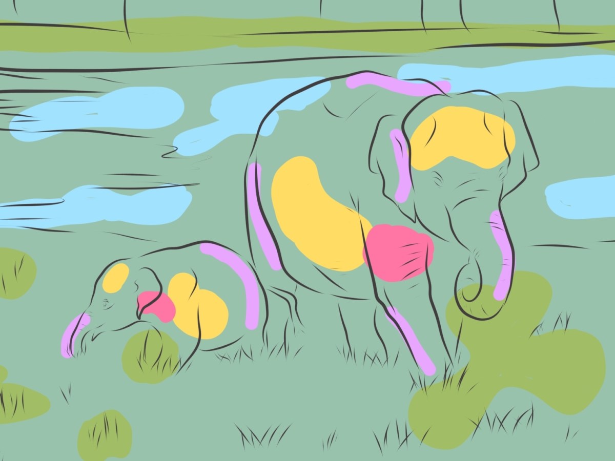 INTELLIGENZA EMOTIVA: come aiutare i nostri figli a svilupparla ed avere successo nella&nbsp;vita